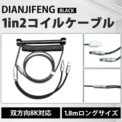 DIANJIFENG 1 in 2 BLACK コイルケーブル