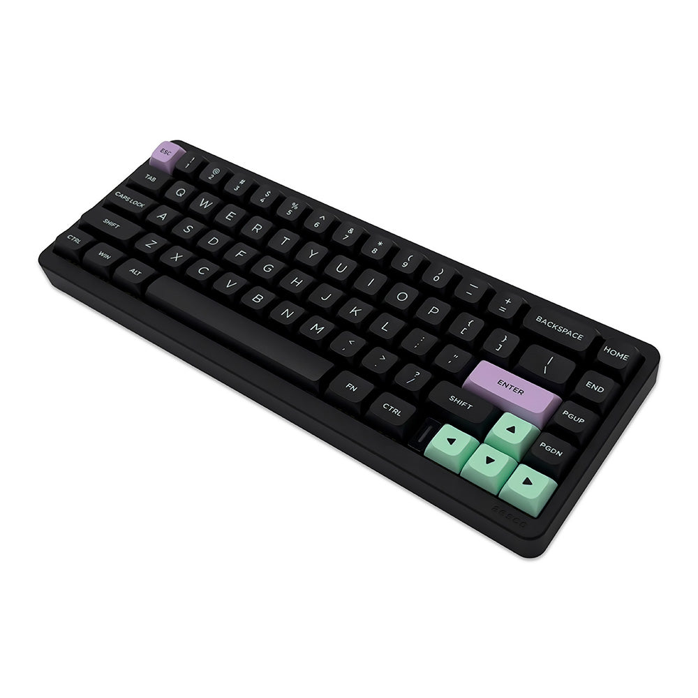 AESCO A67 電磁誘導 ラピッドトリガーキーボード 有線/無線対応